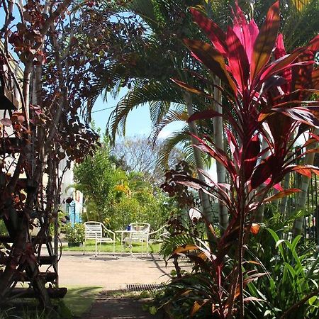 Asylum Cairns Share House Hostel Bagian luar foto