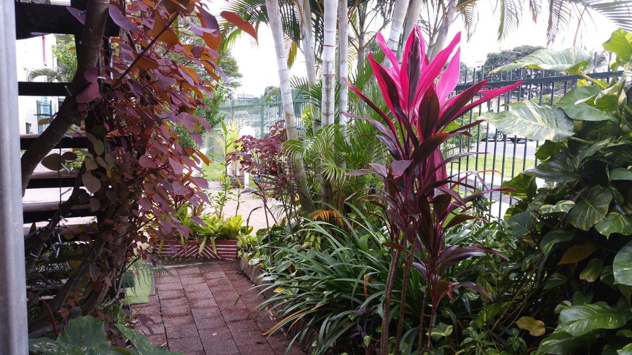 Asylum Cairns Share House Hostel Bagian luar foto